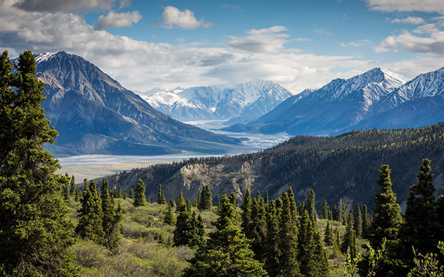 * "A scenic panoramic view of snow-capped mountain peaks and a lush valley, perfect for family hiking trips."